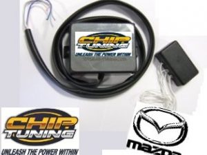 DPF Emulator