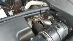 Catch Can Fitment