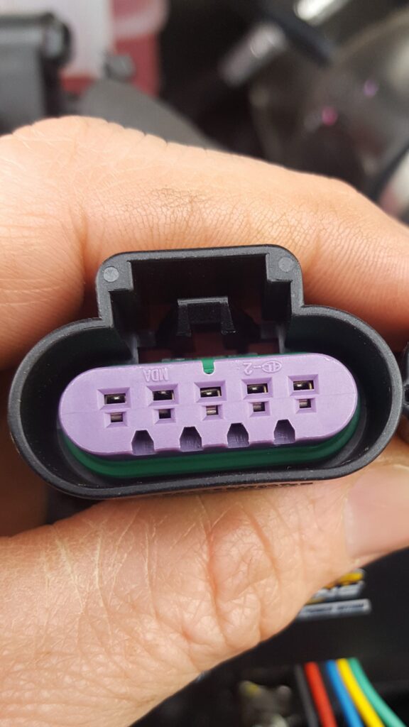 Holden Colorado Purple Plug